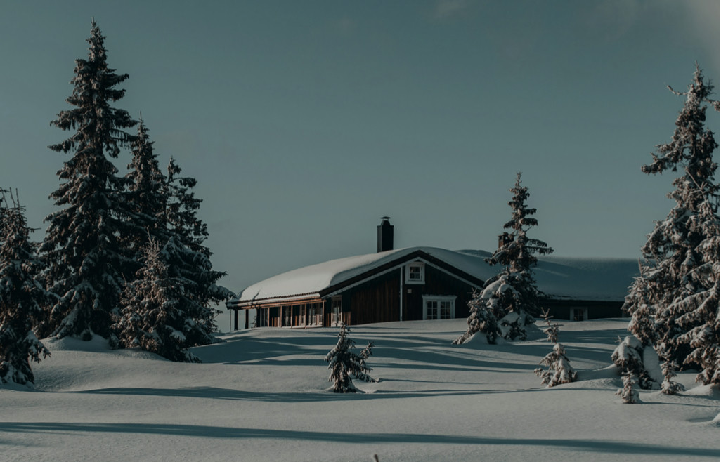 Chalet en bois sous la neige, entouré de sapins enneigés